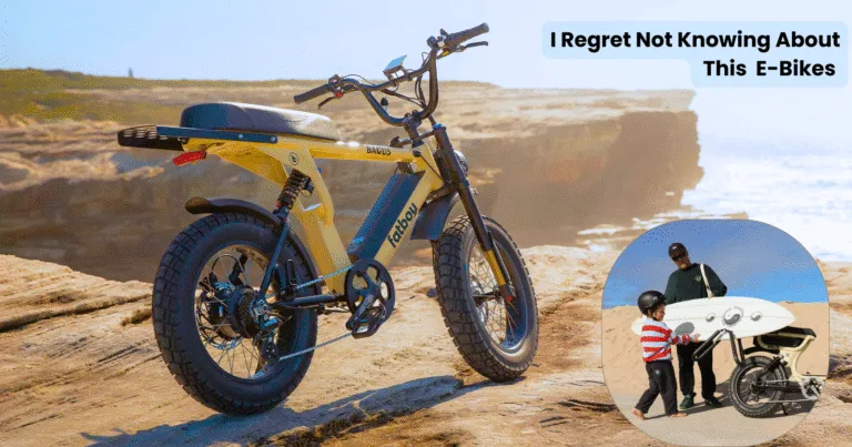 Fatboy ebike